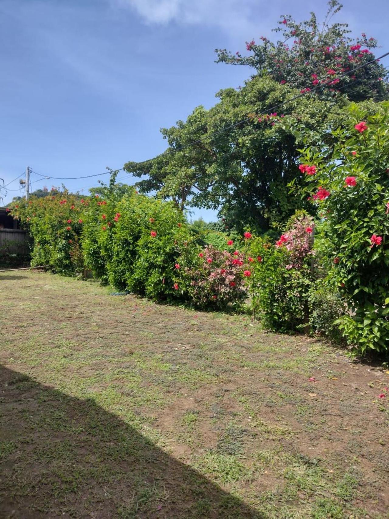 Palhoca Da Colina Hotel Fernando de Noronha Kültér fotó